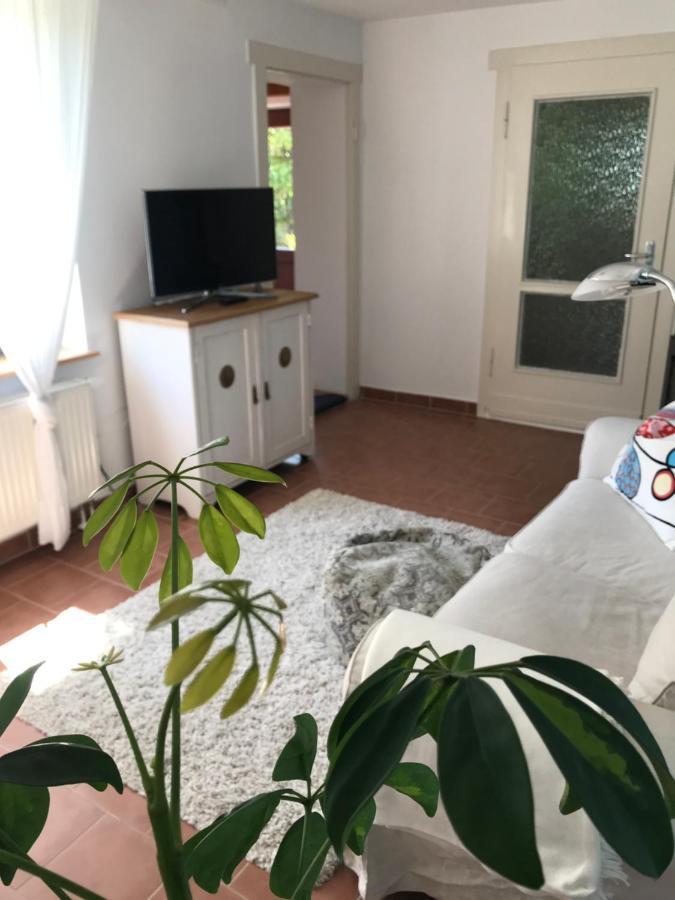 Hering Fewo I Apartment Terrace Вик Экстерьер фото