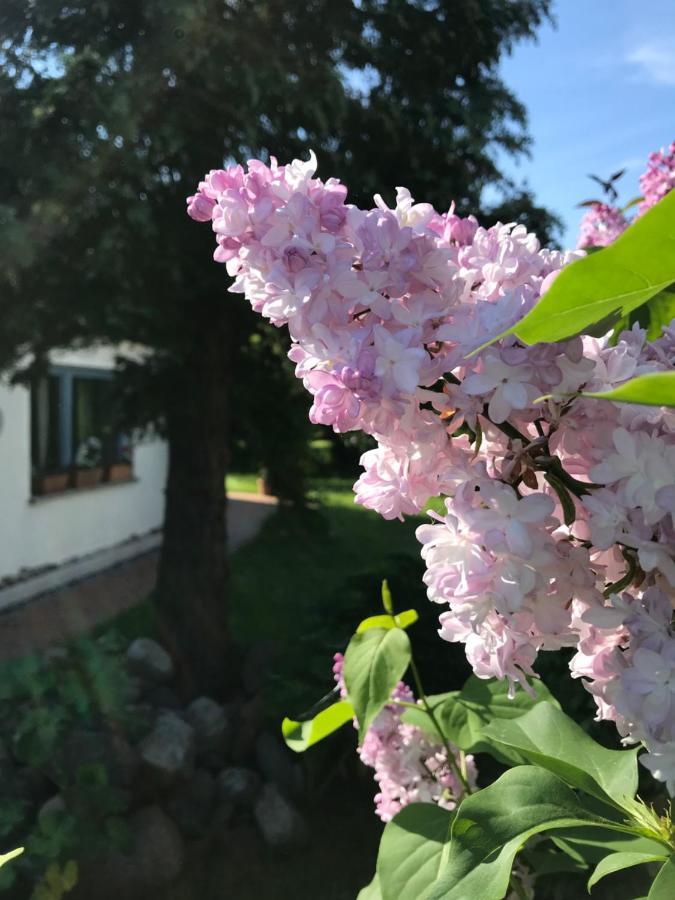 Hering Fewo I Apartment Terrace Вик Экстерьер фото